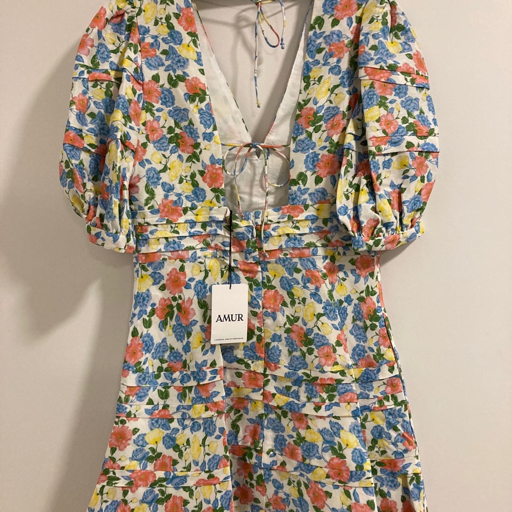 Amur AVIAN Dress Size 10 - Brand New w/tags - Picture 3 of 3
